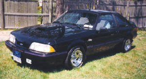 mymustang2.jpg